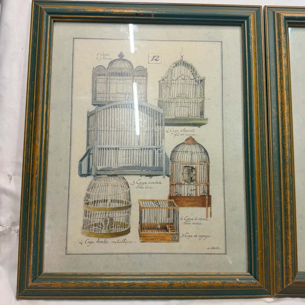 Vintage L. David French Bird Cage Botanical Prints, Distressed Green Frames (2) - Picture 5 of 10
